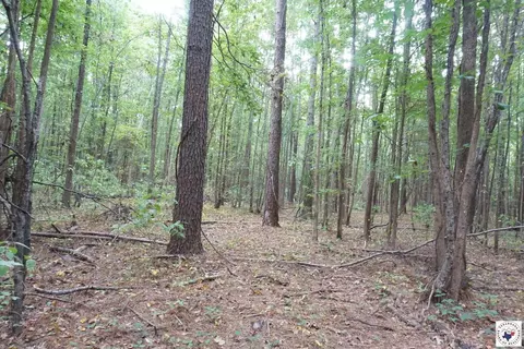 23 Little River County Road Ashdown Ar 71822, Ashdown, AR 71822 photo 27