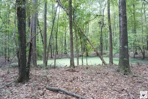23 Little River County Road Ashdown Ar 71822, Ashdown, AR 71822 photo 30