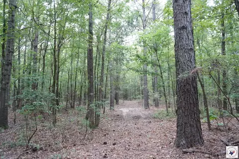 23 Little River County Road Ashdown Ar 71822, Ashdown, AR 71822 photo 20