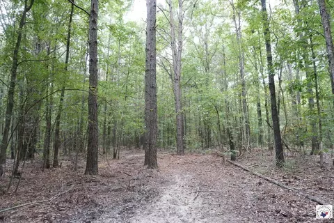 23 Little River County Road Ashdown Ar 71822, Ashdown, AR 71822 photo 15