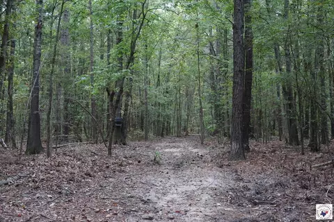 23 Little River County Road Ashdown Ar 71822, Ashdown, AR 71822 photo 10