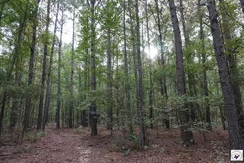 23 Little River County Road Ashdown Ar 71822, Ashdown, AR 71822 photo 6