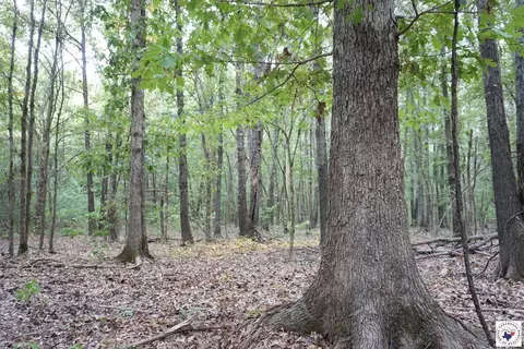 23 Little River County Road Ashdown Ar 71822, Ashdown, AR 71822 photo 24
