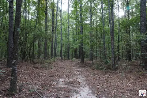 23 Little River County Road Ashdown Ar 71822, Ashdown, AR 71822 photo 8