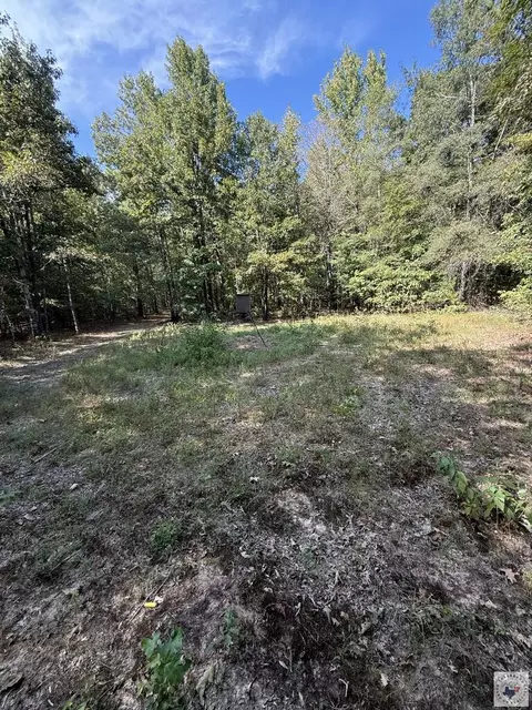 371 County Road 4266 Simms Tx 75574, Simms, TX 75574 photo 2