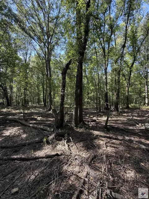 371 County Road 4266 Simms Tx 75574, Simms, TX 75574 photo 15