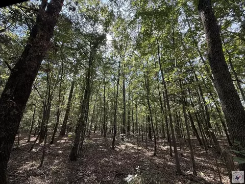 371 County Road 4266 Simms Tx 75574, Simms, TX 75574 photo 14