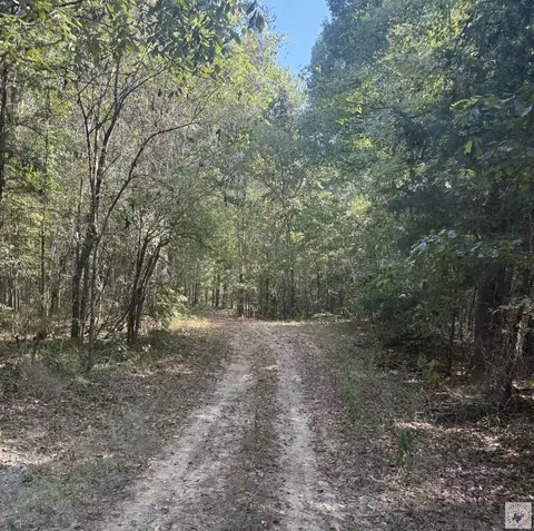 371 County Road 4266 Simms Tx 75574, Simms, TX 75574 photo 3