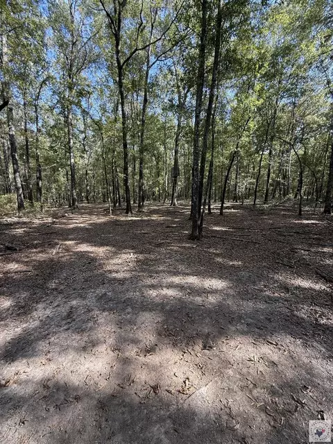 371 County Road 4266 Simms Tx 75574, Simms, TX 75574 photo 7