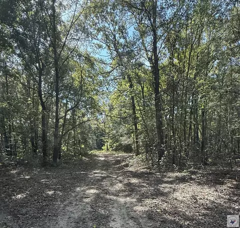 371 County Road 4266 Simms Tx 75574, Simms, TX 75574 photo 4