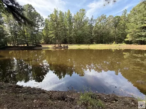 8076 S Fm 251 Bivins Tx 75555, Bivins, TX 75555
