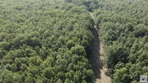 171 Ac Cr 4670 Avery Tx 75554, Avery, TX 75554 photo 38