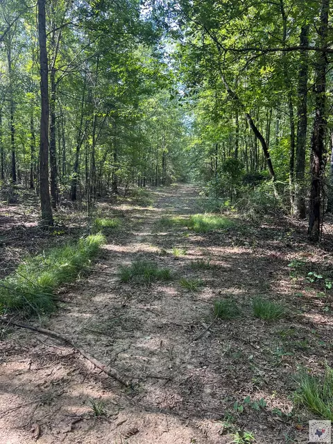 171 Ac Cr 4670 Avery Tx 75554, Avery, TX 75554 photo 22