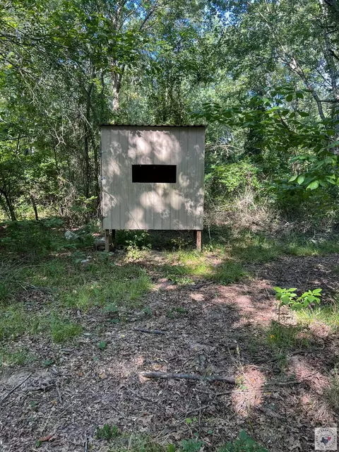 171 Ac Cr 4670 Avery Tx 75554, Avery, TX 75554 photo 8