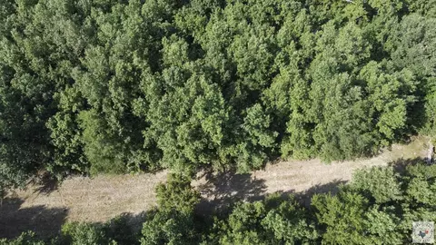 171 Ac Cr 4670 Avery Tx 75554, Avery, TX 75554 photo 37