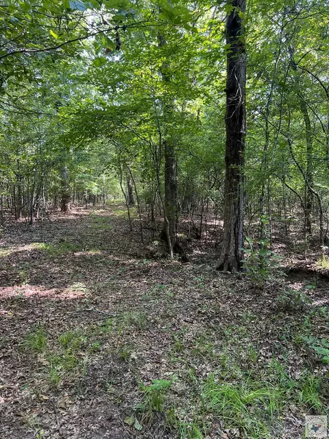 171 Ac Cr 4670 Avery Tx 75554, Avery, TX 75554 photo 44