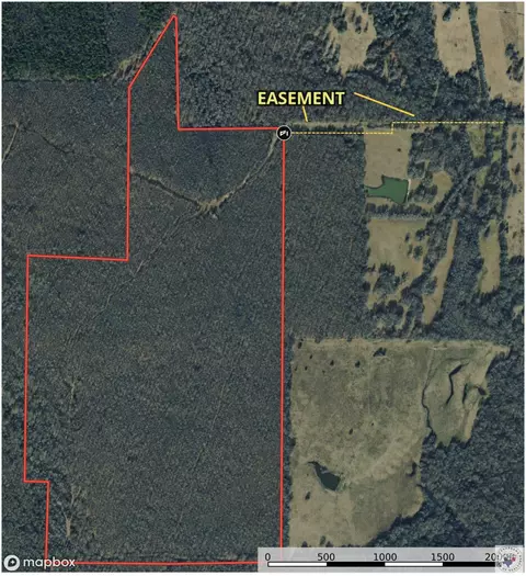 171 Ac Cr 4670 Avery Tx 75554, Avery, TX 75554