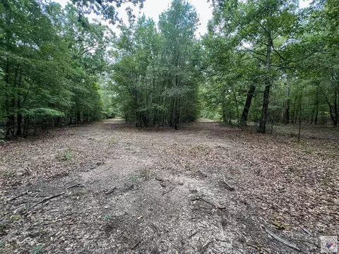 171 Ac Cr 4670 Avery Tx 75554, Avery, TX 75554 photo 34