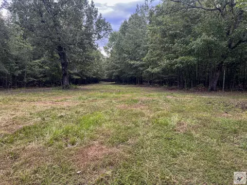171 Ac Cr 4670 Avery Tx 75554, Avery, TX 75554 photo 18