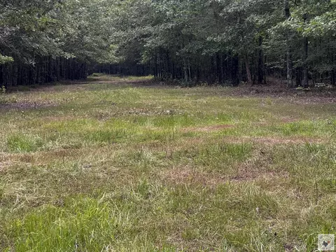 171 Ac Cr 4670 Avery Tx 75554, Avery, TX 75554 photo 25