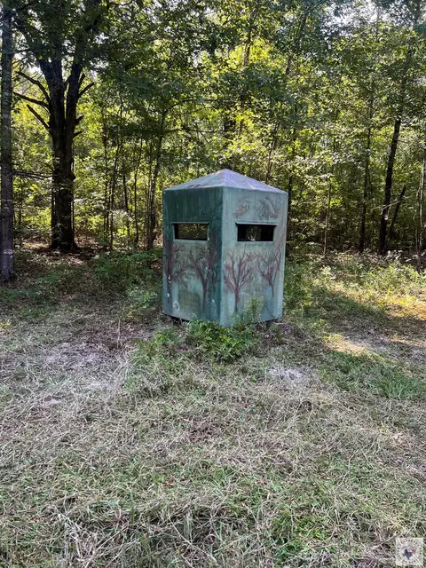 171 Ac Cr 4670 Avery Tx 75554, Avery, TX 75554 photo 14