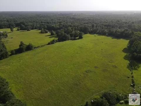 4221 W Fm 114 Avery Tx 75554, Avery, TX 75554 photo 14