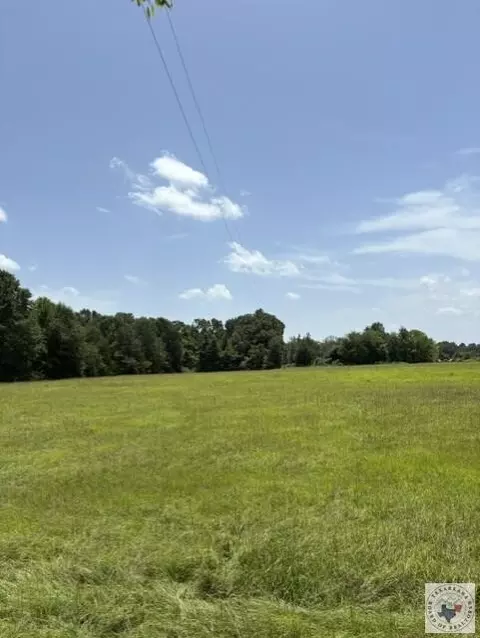 4221 W Fm 114 Avery Tx 75554, Avery, TX 75554 photo 18