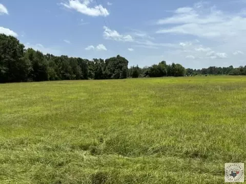 4221 W Fm 114 Avery Tx 75554, Avery, TX 75554 photo 11
