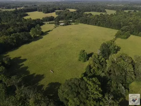 4221 W Fm 114 Avery Tx 75554, Avery, TX 75554 photo 10