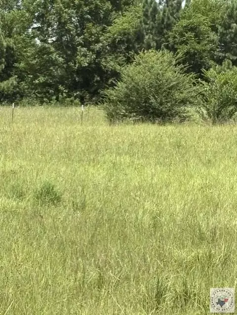 4221 W Fm 114 Avery Tx 75554, Avery, TX 75554 photo 15