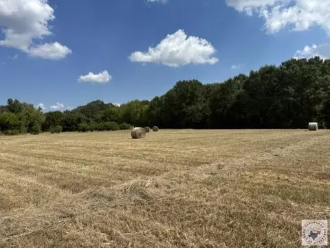 4221 W Fm 114 Avery Tx 75554, Avery, TX 75554 photo 4