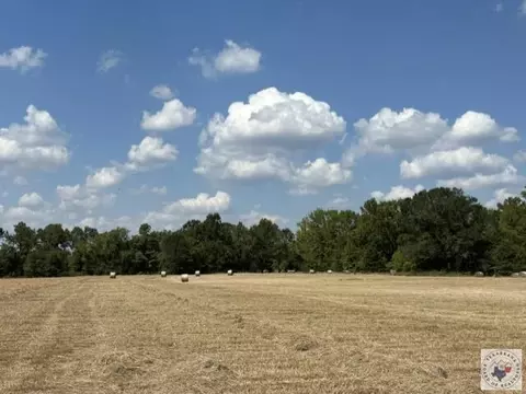 4221 W Fm 114 Avery Tx 75554, Avery, TX 75554 photo 5