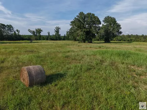 0000 Cr 1778 Linden Tx 75563, Linden, TX 75563