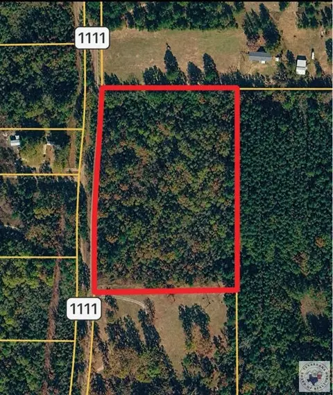 tbd Cr 1111 Atlanta Tx 75551, Atlanta, TX 75551