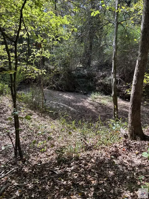 Other - 3700 Peace Ln Texarkana Ar 71854, Texarkana, AR 71854 photo 11 of 13
