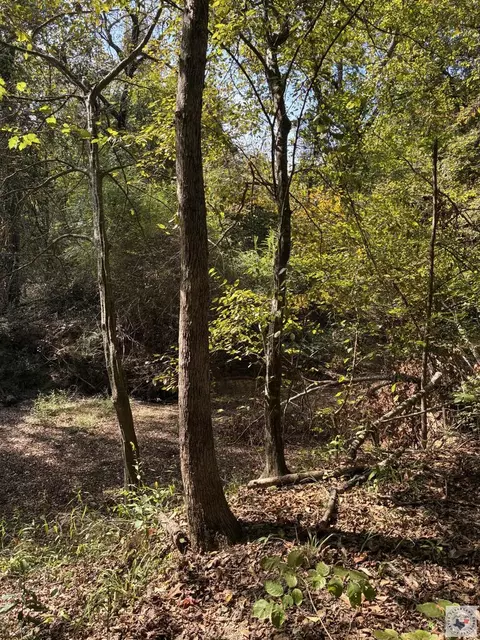 Other - 3700 Peace Ln Texarkana Ar 71854, Texarkana, AR 71854 photo 9 of 13