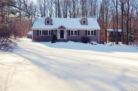 12 Leopard Dr, Newtown, CT 06482 photo 1