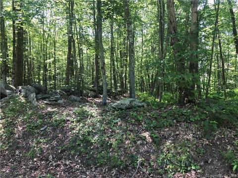 156 Wheeling Rd, Andover, CT 06232 photo 1