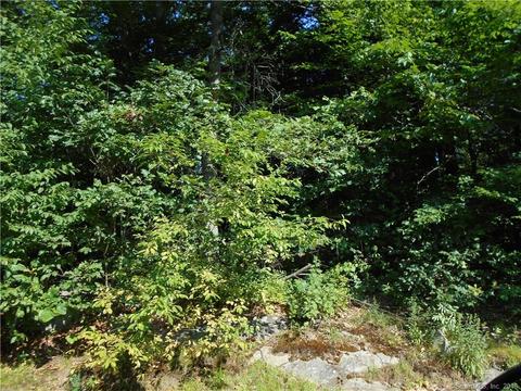 52 Acorn Dr, Bethany, CT 06524 photo 1