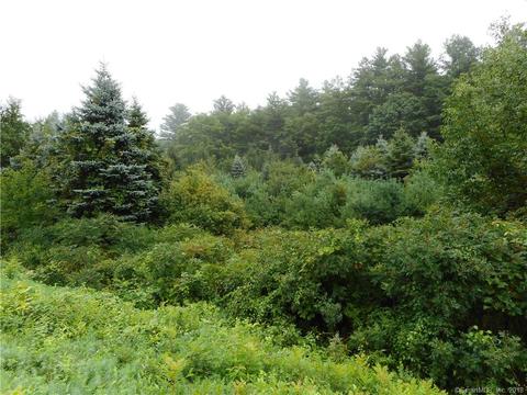 216 Tracy Rd, Killingly, CT 06241 photo 1