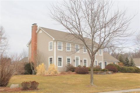 131 Shallow Brook Way, Suffield, CT 06078 photo 1