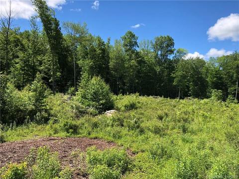 160 Wheeling Rd, Andover, CT 06232 photo 1