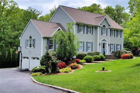 17 Kelly Ct, Newtown, CT 06482 photo 1