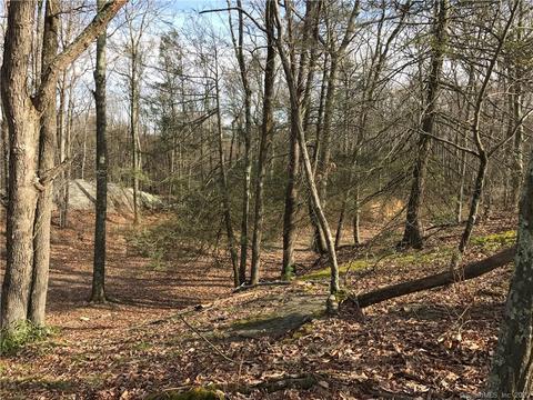 48 Mountain Rd, Redding, CT 06896 photo 1