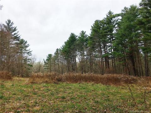 139 Ridge Rd, Chaplin, CT 06235 photo 1