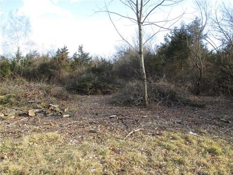416 Williams Rd, Wallingford, CT 06492 photo 1