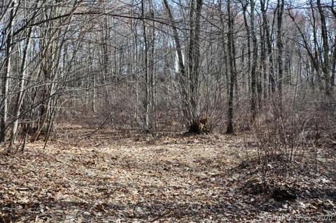 21 Roy Mountain Rd, Prospect, CT 06712 photo 1