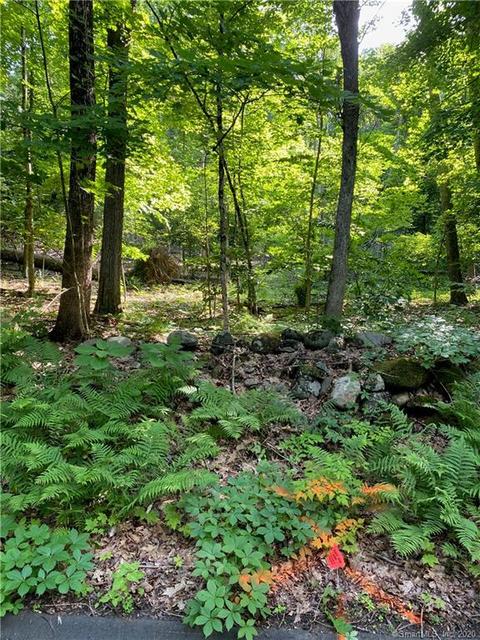 15 Alberts Hill Rd, Newtown, CT 06482 photo 1