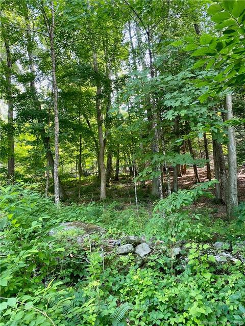 21 Alberts Hill Rd, Newtown, CT 06482 photo 1