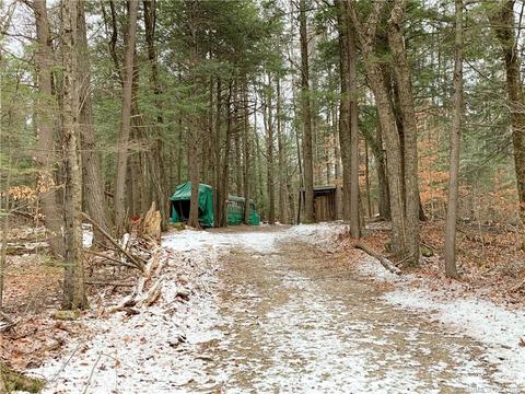 111 Simons Pond Rd, Colebrook, CT 06021 photo 1